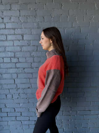 Misses Top It Turtleneck in Two Colors