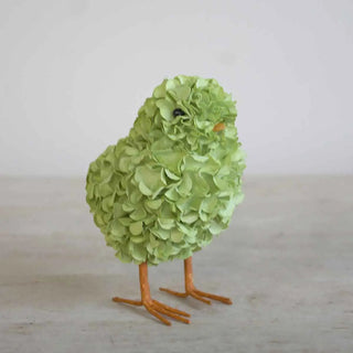 Hydrangea Chick | Green