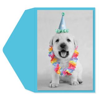 Greeting Card Puppy Party Hat