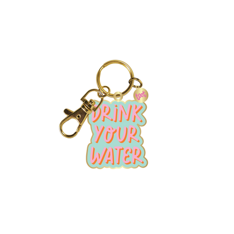 Snarky Key Charm Keychains | Drink Your Water