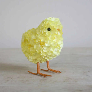 Hydrangea Chick | Yellow