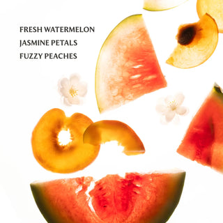 Touchland | Wild Watermelon Power Mist Hydrating Hand Sanitizer