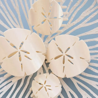 Teleties Tiny Flat Shape Hair Clip | Sand Dollar