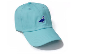 Properly Tied LD Youth Cotton Logo Hat | Seafoam