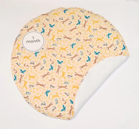 Silkberry Baby Bamboo Playmat & Monthly Sign Card Set | Woodland Frolic